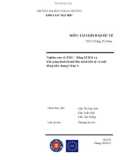 Tiểu luận: Nghiên cứu về EMU - Đồng EURO và khả năng hình thành liên minh tiền tệ và một đồng tiền chung Châu Á