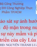 Tiểu luận: Khảo sát sự ảnh hưởng của độ mặn trong nước lên sự nảy mầm và phát triển của cây Lúa