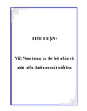 TIỂU LUẬN: Việt Nam trong xu thế hội nhập và phát triển dưới con mắt triết học