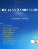 Bài tiểu luận Ô nhiễm không khí