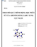 Luận văn tốt nghiệp Vật lý: Theo dõi quá trình động học phân tử của adenine bằng lade xung cực ngắn