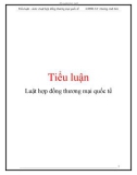 Tiểu luận: Luật hợp đồng thương mại quốc tế