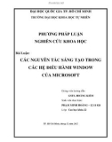 Tiểu luận: Các nguyên tắc sáng tạo trong các hệ điều hành Window của Microsoft