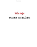 Tiểu luận: Phân tích kinh tế Ấn Độ