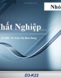 Thuyết trình kinh tế vĩ mô: Thất nghiệp