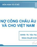 Thuyết kinh tế vĩ mô: Nợ công châu Âu và cho Việt Nam