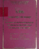 Khóa luận tốt nghiệp: Thực trạng và các giải pháp nâng cao năng lực hoạt động của các công ty chứng khoán ở Việt Nam đáp ứng yêu cầu hội nhập