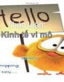 Thảo luận: Kinh tế vĩ mô