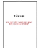 Tiểu luận: Cấu trúc vốn và hiệu quả hoạt động của doanh nghiệp