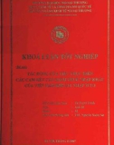 Khóa luận tốt nghiệp: Tác động của việc thực hiện cam kết cắt giảm thuế nhập khẩu của Việt Nam khi gia nhập WTO