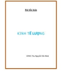 Bài tiểu luận: Kinh tế lượng (Nguyễn Tấn Minh)