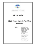 Tiểu luận: Công cụ tỷ giá của ngân hàng Trung ương