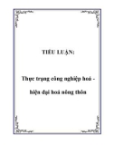 TIỂU LUẬN: Thực trạng công nghiệp hoá hiện đại hoá nông thôn