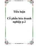 Tiểu luận đề tài : Cổ phần hóa doanh nghiệp