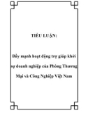 TIỂU LUẬN: Đẩy mạnh hoạt động trợ giúp khởi sự doanh nghiệp của Phòng Thương Mại và Công Nghiệp Việt Nam