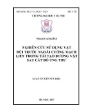 Luận án tiến sĩ Y học: Nghiên cứu sử dụng vạt đùi trước ngoài cuống mạch liền trong tái tạo dương vật sau cắt bỏ ung thư