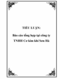 TIỂU LUẬN: Báo cáo tổng hợp tại công ty TNHH Cơ kim khí Sơn Hà