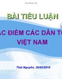 Tiểu luận: Nghiên cứu đặc điểm các dân tộc Việt Nam