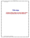 Tiểu luận: Vi phạm hành chính và trách nhiệm hành chính trong pháp luật Việt Nam hiện nay