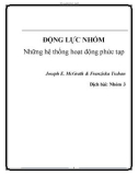 Tiểu luận: Động lực nhóm - Những hệ thống hoạt động phức tạp