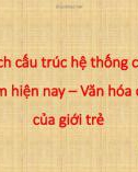 Đề tài: Phân tích cấu trúc hệ thống chính trị Việt Nam hiện nay - Văn hóa chính trị của giới trẻ