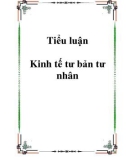 Tiểu luận Kinh tế tư bản tư nhân