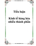 Tiểu luận Kinh tế hàng hóa nhiều thành phần