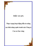 TIỂU LUẬN: Thực trạng hoạt động đầu tư nâng cao khả năng cạnh tranh của Công ty Cao su Sao vàng