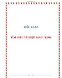 TIÊU LUẬN: TÌM HIỂU VỀ HIỆP ĐỊNH TRIMS