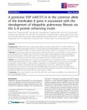 Báo cáo y học: A promoter SNP rs4073TA in the common allele of the interleukin 8 gene is associated with the development of idiopathic pulmonary fibrosis via the IL-8 protein enhancing mode