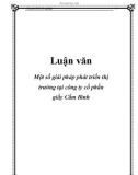 Luận văn: Một số giải pháp phát triển thị trường tại công ty cổ phần giầy Cẩm Bình