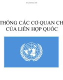 Tiểu luận: Hệ thống các cơ quan chính của Liên Hợp Quốc