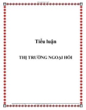 Tiểu luận: Thị trường ngoại hối