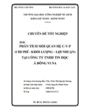 Luận văn: Phân tích mối quan hệ C-V-P (Chi phí - Khối lượng - Lợi nhuận) tại công ty TNHH Tin Học Á Đông Vi Na