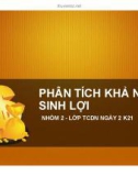 Bài tập nhóm: Phân tích khả năng sinh lợi