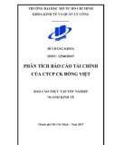 Báo cáo: Phân tích báo cáo tài chính của CTCP chứng khoán Rồng Việt