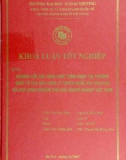 Khóa luận tốt nghiệp: Nghiên cứu các hình thức thâm nhập thị trường quốc tế của các công ty xuyên quốc gia (TNCS) và bài học kinh nghiệm cho các doanh nghiệp Việt Nam