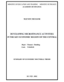 Summary of Economic Doctoral thesis: Developing microfinance activities in the key economic region of the central