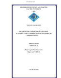 Summary of doctoral thesis in Economics: Determining the optimal farm size in agricultural production of households Mekong Delta