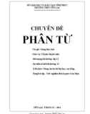 Chuyên đề: Phân từ