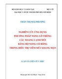 Luận án Tiến sỹ Y học: Nghiên cứu ứng dụng phương pháp nong lỗ thông các xoang cạnh mũi bằng bộ nong có bóng trong điều trị viêm mũi xoang mạn