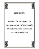 TIỂU LUẬN: NGHIÊN CỨU TÁC ĐỘNG CỦA QUẢNG CÁO TỚI THÓI QUEN TIÊU DÙNG KẸO CAO SU CỦA NGƯỜI TIÊU DÙNG VIỆT NAM