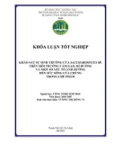 KHẢO SÁT SỰ SINH TRƯỞNG CỦA SACCHAROMYCES SP. TRÊN MÔI TRƢỜNG CÁM GẠO, RỈ ĐƢỜNG VÀ MỘT SỐ YẾU TỐ ẢNH HƢỞNG ĐẾN SỨC SỐNG CỦA CHÚNG TRONG CHẾ PHẨM