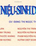 Thuyết trình Hệ niệu sinh dục