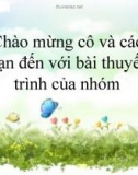 Bài thuyết trình: Thực trạng và giải pháp bảo vệ đa dạng sinh học ở Việt Nam hiện nay