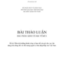 Bài thảo luận: Phân tích những thành công và hạn chế của gói cho vay (tín dụng) tiêu dùng đối với đối tượng người có thu nhập thấp của Việt Nam.