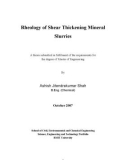 Master's thesis of Engineering: Rheology of shear thickening mineral slurries