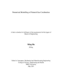 Master's thesis of Engineering: Numerical modelling of natural gas combustion