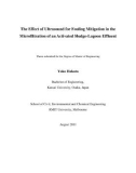 Master's thesis of Engineering: The effect of ultrasound for fouling mitigation in the microfiltration of an activated sludge-lagoon effluent