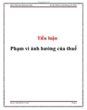 Tiểu luận: Phạm vi ảnh hưởng của thuế